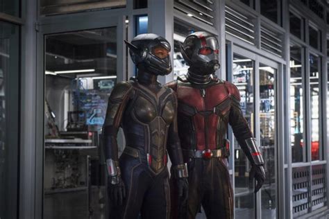 Ant Man And The Wasp Review Marvel S Latest Shrinks The Stakes