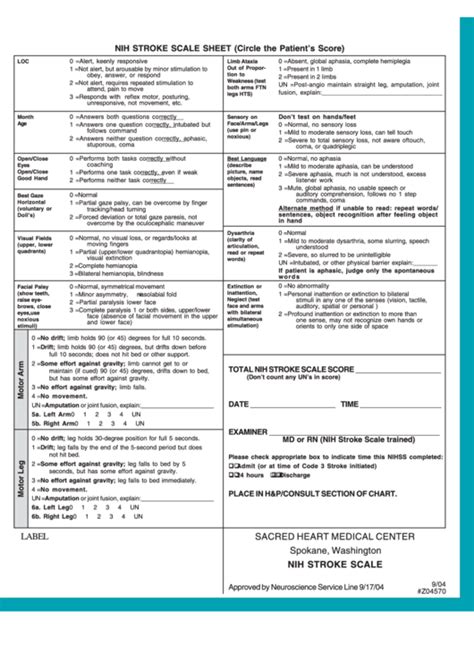 Top Nih Stroke Scale Form Templates Free To Download In Pdf Format