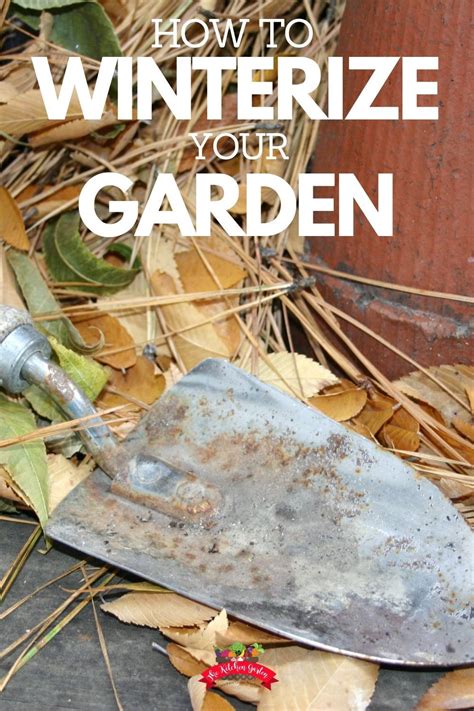 Want To Keep Your Garden Healthy Over The Winter Winterize Your Garden