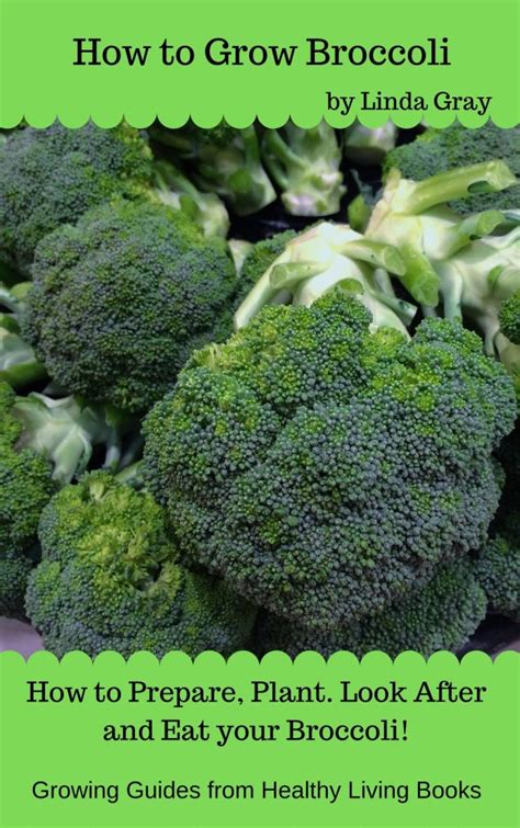 Broccoli Grow It Eat It