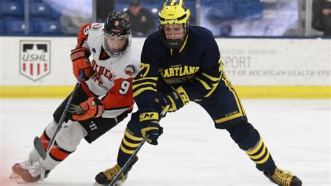 Hartland One Win From State Hockey Repeat After Dominating Brother Rice