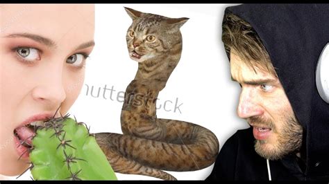 Collection by poulpedesneiges • last updated 1 day ago. Stock Images needs to be Stopped! /r/wtfstockimage reddit ...