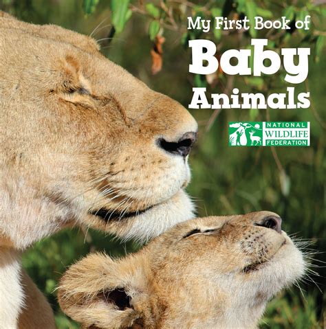 My 1st Book Of Baby Animals National Wil Board Book