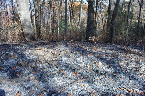 Cohutta Wilderness Reopens After Massive Wildfire Wabe 901 Fm