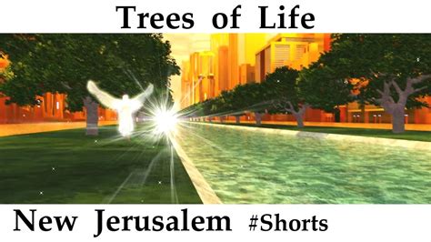 Shorts New Jerusalem The Tree Of Life 12 Kinds Of Fruits