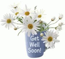 Check spelling or type a new query. Get Well Soon Daisies GIF - GetWellSoon Daisies Flowers ...