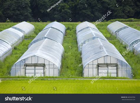 8705 Greenhouse Japan Images Stock Photos And Vectors Shutterstock