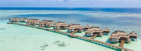 Ocean Pool Suite Pullman Maldives Maamutaa Resort 5 Star Hotel