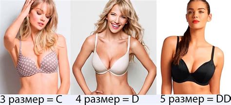Размеры грудины у женщин фото