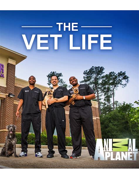 The Vet Life Tv Show News Videos Full Episodes And More Tvguide
