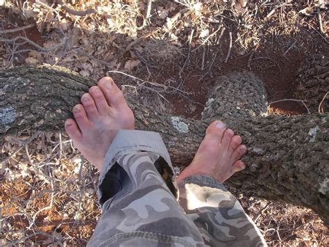 Tree Free Climbing By Naturebarefooter On Deviantart