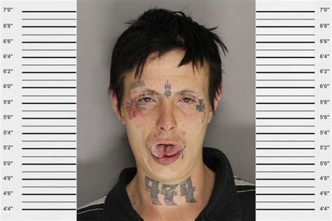 41 Funny Mugshots That Actually Happened These Pictures Are Just Hilarious