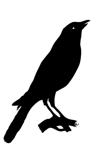 Raven Clipart Traceable Crow Clipart Outline Clip Art Library