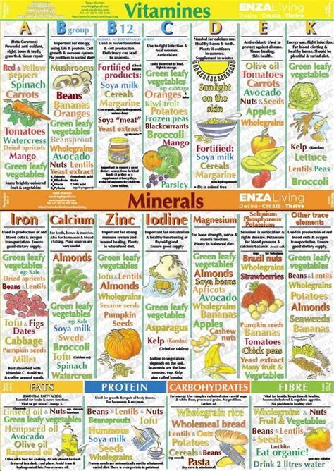 Printable Vitamins And Minerals Chart
