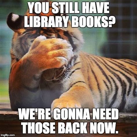 Facepalm Tiger Library Memes Library Humor Library Posters