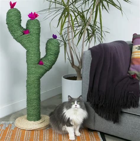 A cactus cat scratcher can be shaped like an actual cactus or you can find other designs and styles on alibaba.com. griffoir chat cactus