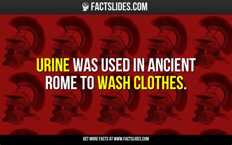 Urine Was Used In Ancient Rome To Wash Clothes Ancient Rome Fact