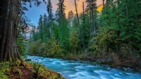 Skykomish River Washington Wallpaper Backiee