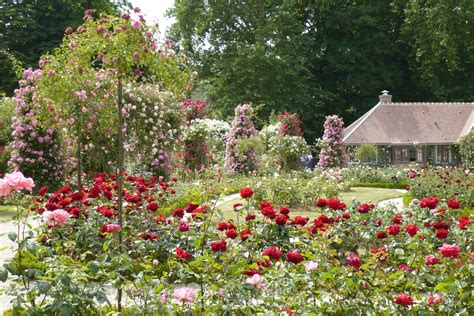 Le Jardin De Pacalou Un Jardin De Roses
