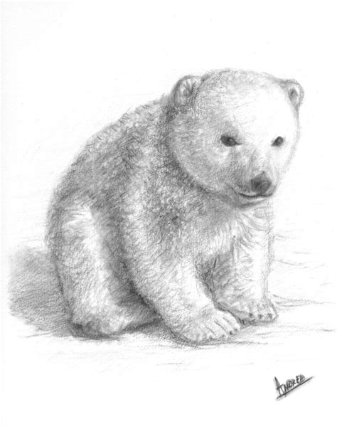 On april 16, a young black bear cub was found in floyd county, virginia, attempting to eat a homeowner's sweet feed (goat food). drawings of bear cubs - Google Search | bear | Pinterest ...