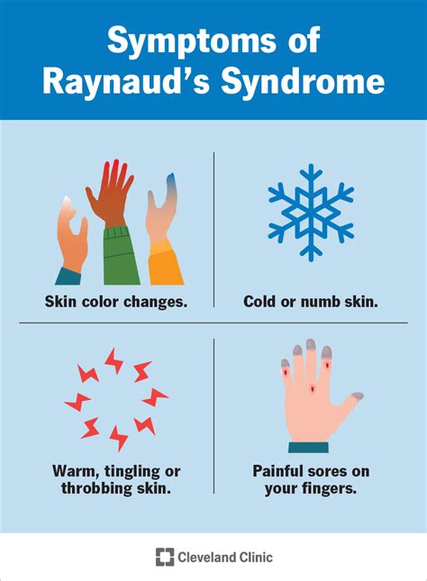 Síndrome De Raynaud Síntomas Causas Y Tratamiento 2023