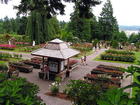 International Rose Test Garden — Portland Parks Foundation
