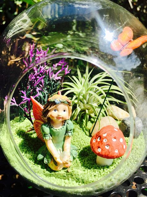 Miniature terrarium plants, small landscapes, or fairy gardens. Fairy Garden Terrarium Kit Small Bullet Air Plant Terrarium