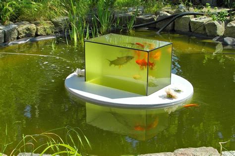 How To Make A Diy Flying Or Floating Aquarium Fishlab