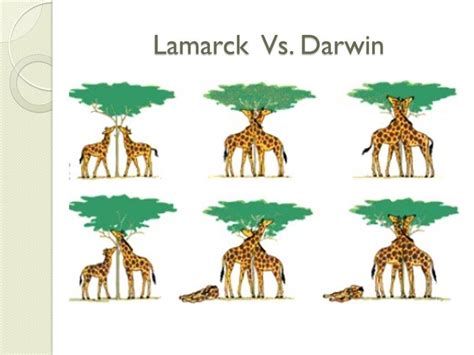 Darwin And Lamarck 136 Plays Quizizz