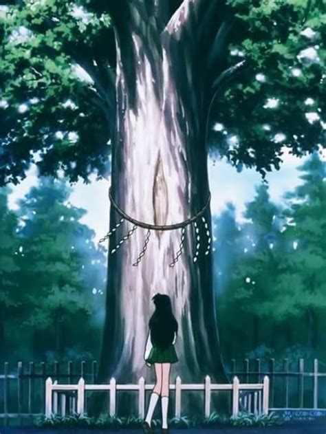 Kagome Standing In Front Of The Goshinboku The God Tree Where