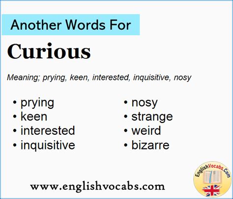 Another Word For Curious What Is Another Word Curious English Vocabs