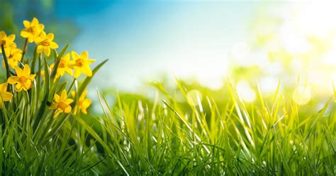 The season of the year between winter and summer, lasting from march to june north of the…. Spring equinox: Why Spring 2020 is the earliest in over ...