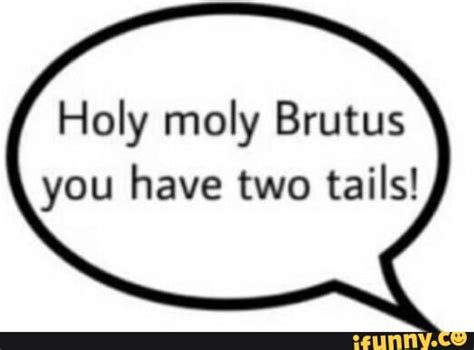 Holy Moly Brutus You Have Two Tails Ifunny