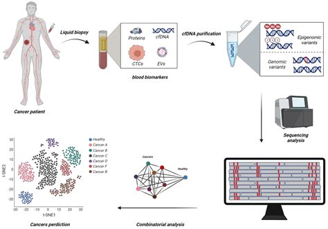 Epigenomes Free Full Text Opportunities For Early Cancer Detection