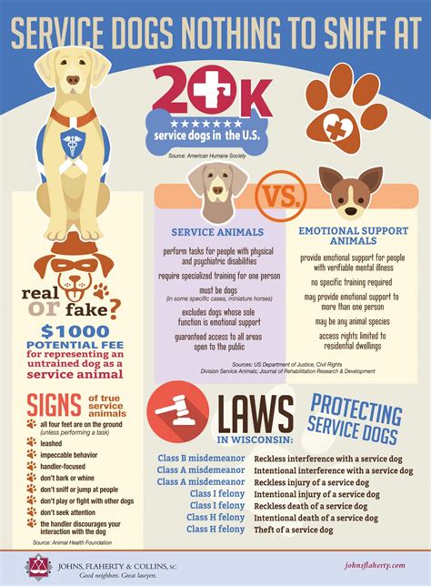 Service Dogs Nothing To Sniff At Infographic