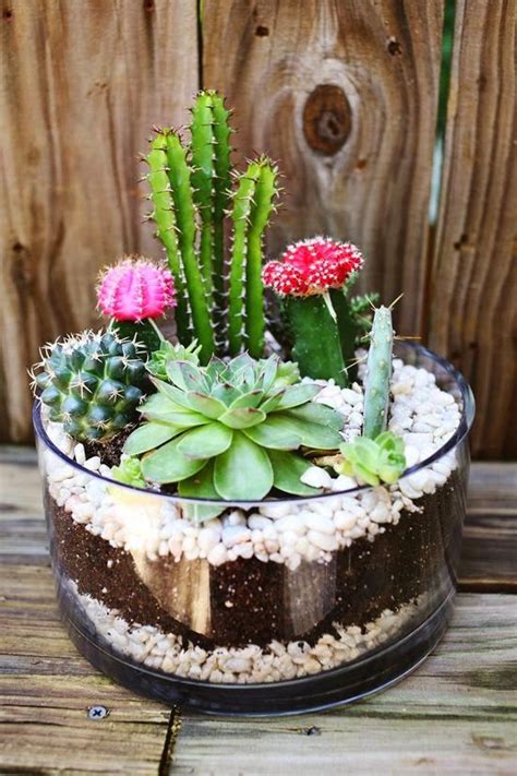 simple  beautiful diy cactus pots