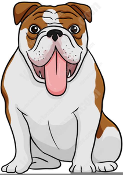 Download High Quality Bulldog Clipart Vector Transparent Png Images