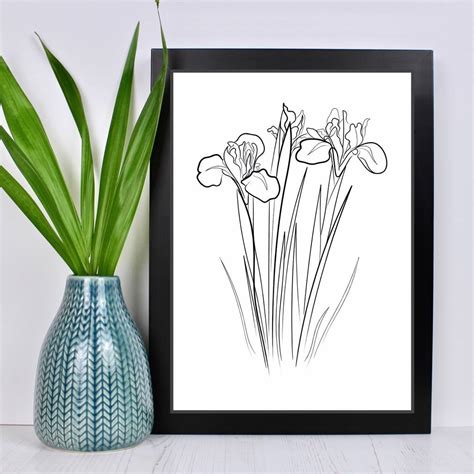 Iris Flower Line Drawing Print By Adam Regester Design