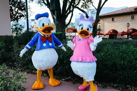 Meet Donald And Daisy Duck At Disney World