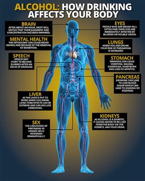 How Alcohol Drinking Affects Our Body