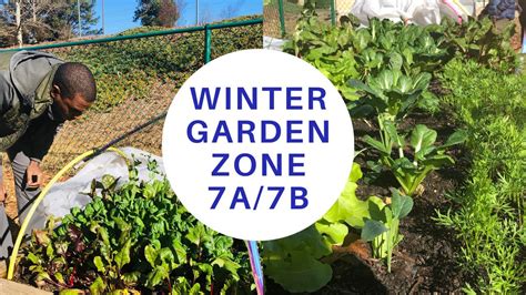 Winter Gardening Tips For Zone 7a 7b Raised Bed Garden Youtube