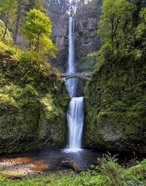 Multnomah Falls Portland Oregon Photograph By Jack Nevitt Fine Art