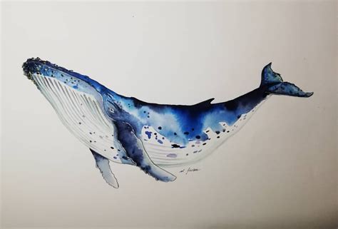 The top side should have a hump in the middle, before taking a curving. Humpback whale Work on commission #humpbackwhale # ...