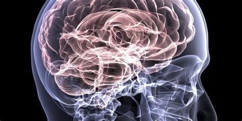 Epilepsie Gehirnerkrankung Krankheiten Portalde