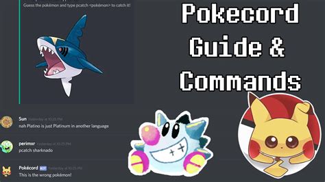 Pokecord Commands List And Guide Discord Pokemon Game Sir Taptap