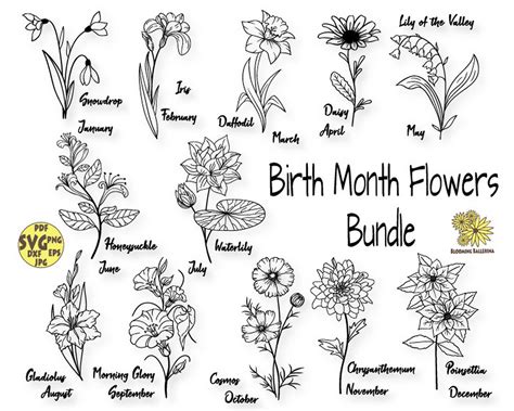 Birth Month Flowers Svg Bundle Birth Month Flower Flower Svg Floral