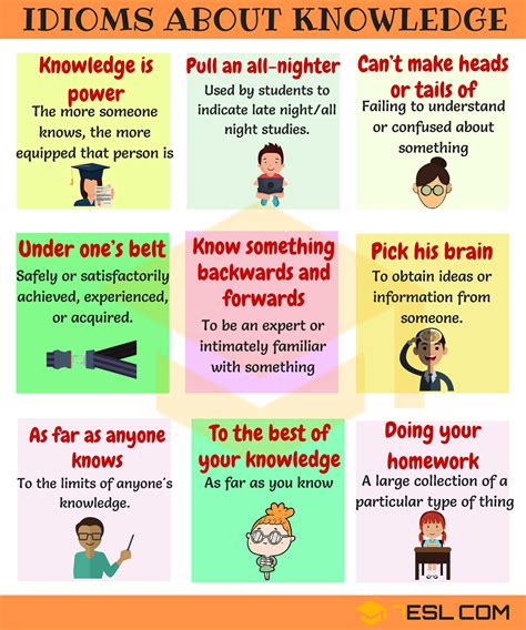 Useful Phrases And Idioms About Knowledge In English Effortless English