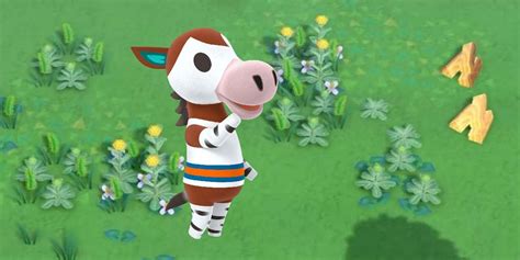 Animal Crossing 5 Villagers We Hope Return In New Horizons And 5 We Can