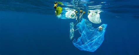 From Pollution To Solution A Global Assessment Of Marine Litter And