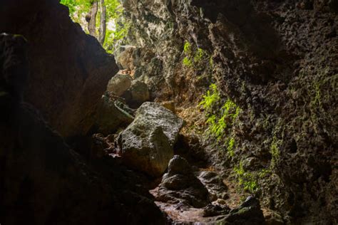 Son Doong Cave Stock Photos Pictures And Royalty Free